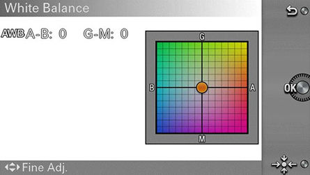 white balance