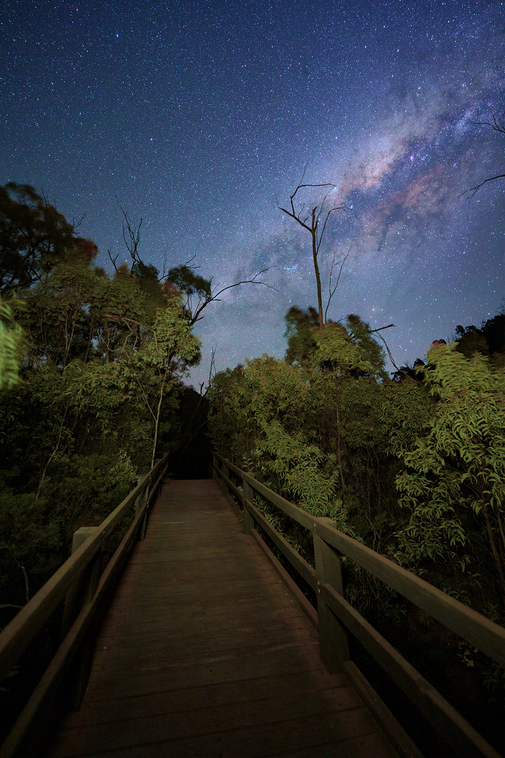 Astrophotography with Jay Evans 8